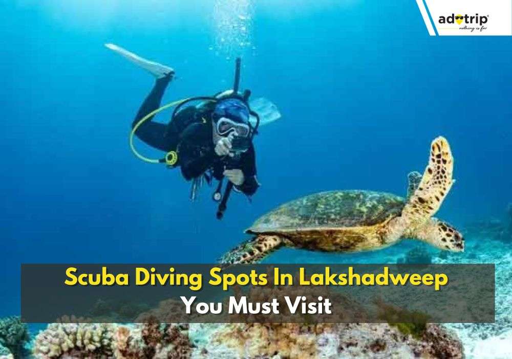 Scuba Diving Spots In Lakshadweep